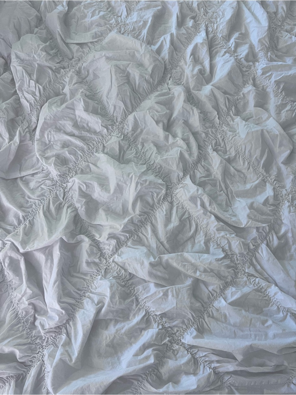Organic Cotton Bedding duvet cover and sham by pottery barn teen. Twin XL